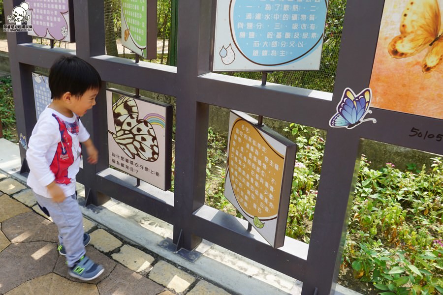 高雄旅遊 蝴蝶園 金獅湖 高雄景點 免費參觀 高雄好玩 親子出遊