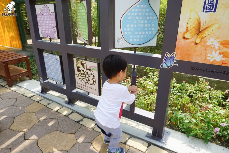 高雄旅遊 蝴蝶園 金獅湖 高雄景點 免費參觀 高雄好玩 親子出遊