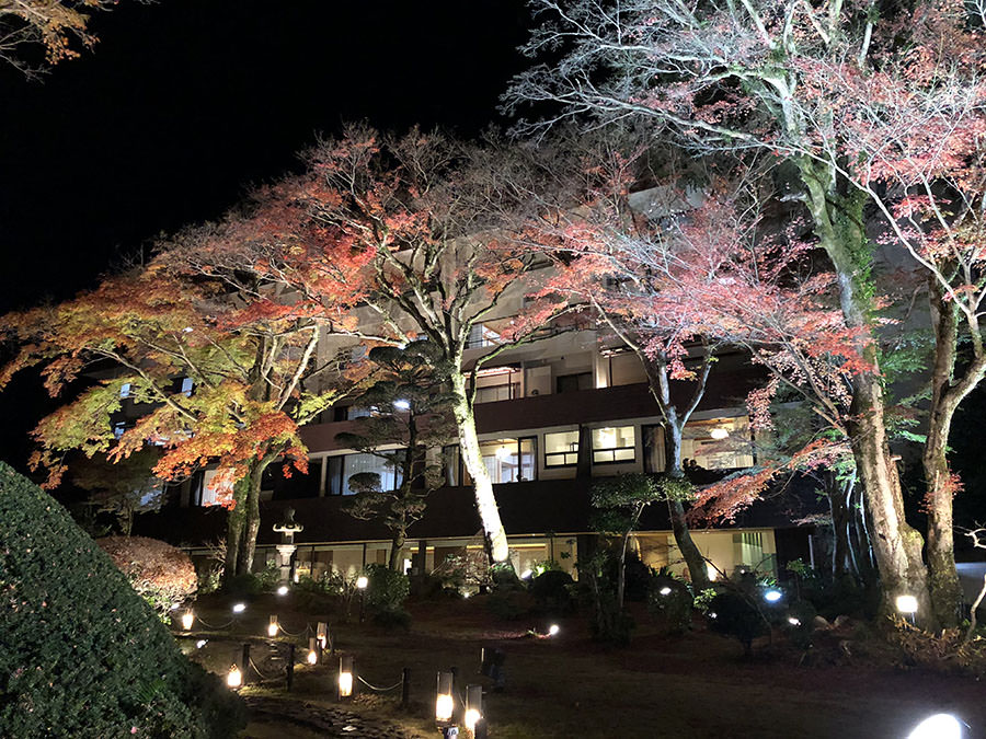 箱根 溫泉 日本旅遊 日本好好玩 日本景點推薦 日本點心日本甜點