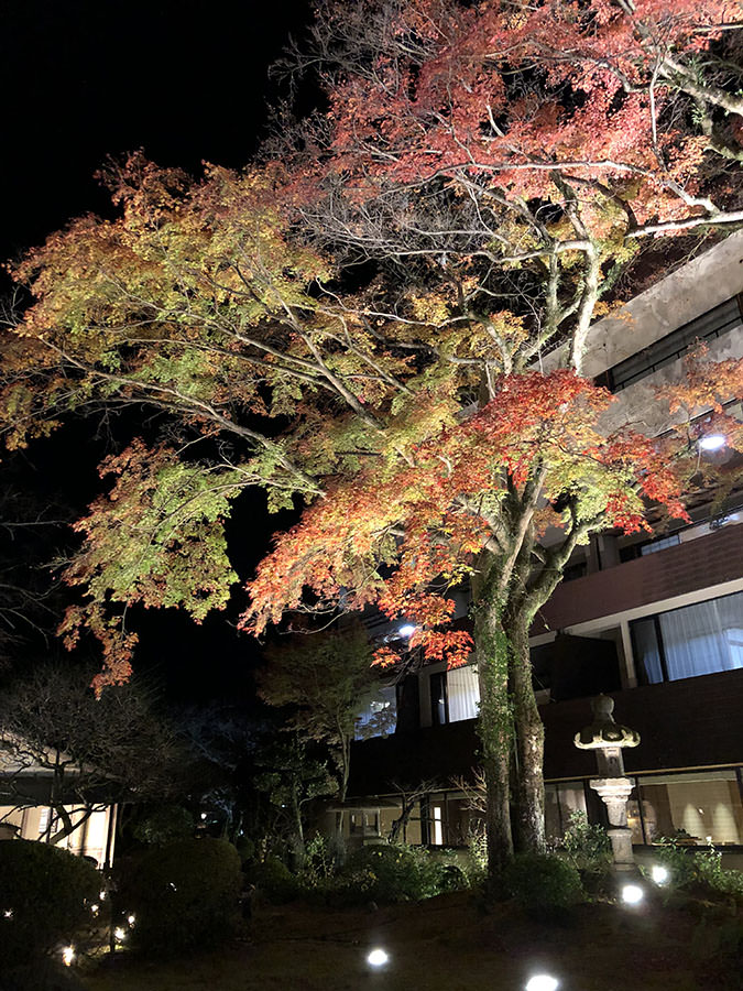 箱根 溫泉 日本旅遊 日本好好玩 日本景點推薦 日本點心日本甜點