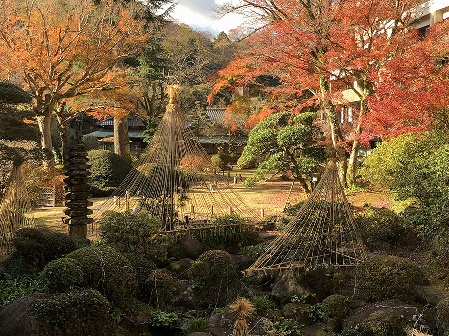 箱根 溫泉 日本旅遊 日本好好玩 日本景點推薦 日本點心日本甜點