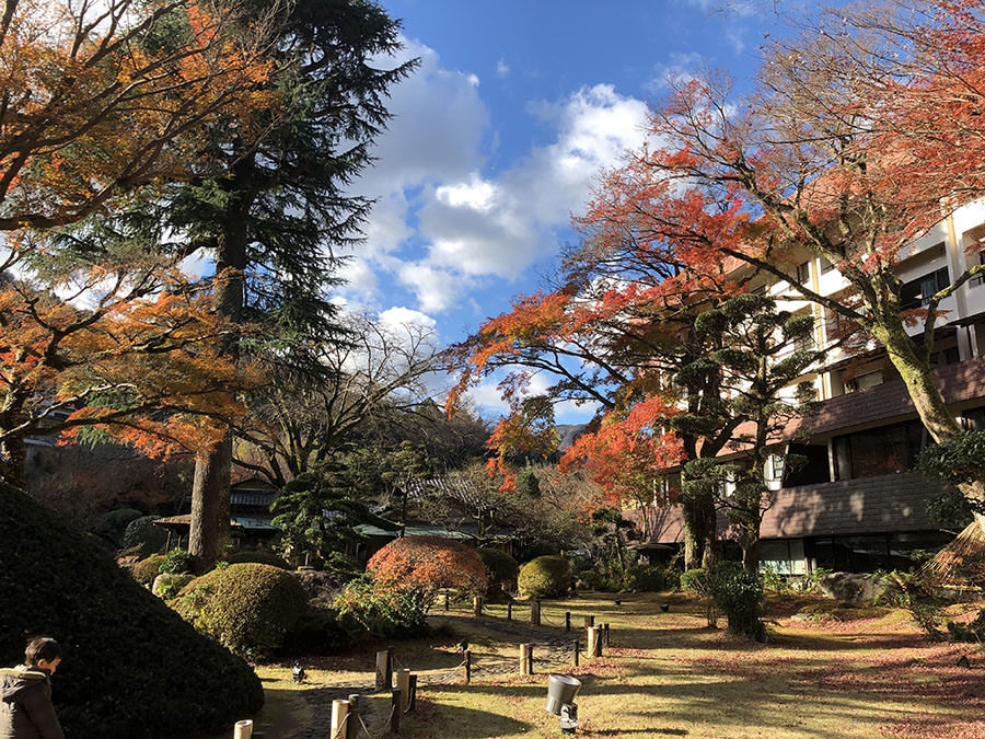 箱根 溫泉 日本旅遊 日本好好玩 日本景點推薦 日本點心日本甜點