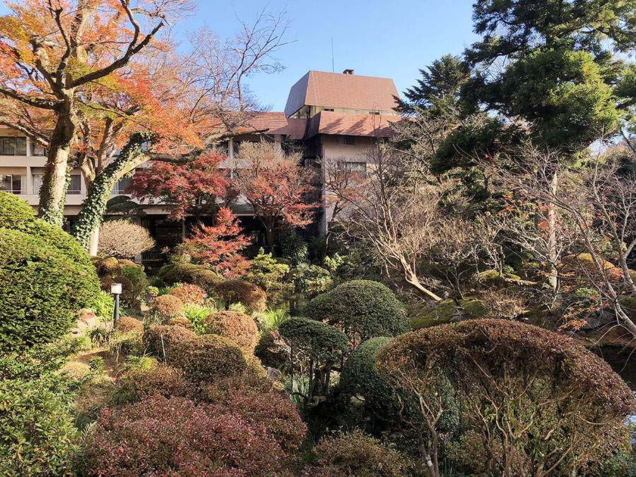 箱根 溫泉 日本旅遊 日本好好玩 日本景點推薦 日本點心日本甜點