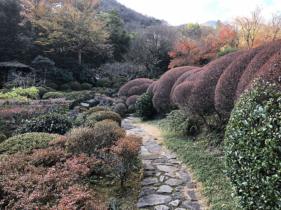 箱根 溫泉 日本旅遊 日本好好玩 日本景點推薦 日本點心日本甜點