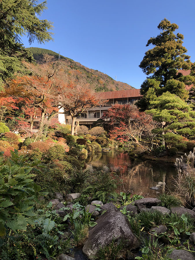 箱根 溫泉 日本旅遊 日本好好玩 日本景點推薦 日本點心日本甜點