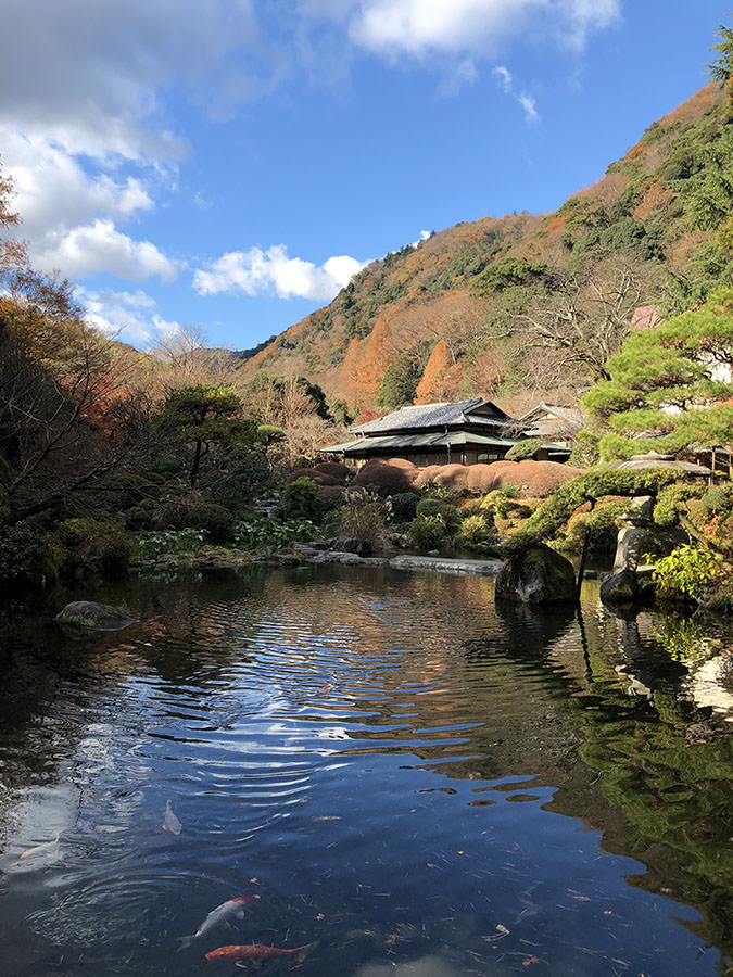 箱根 溫泉 日本旅遊 日本好好玩 日本景點推薦 日本點心日本甜點