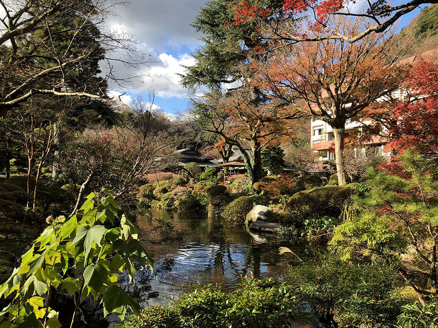 箱根 溫泉 日本旅遊 日本好好玩 日本景點推薦 日本點心日本甜點