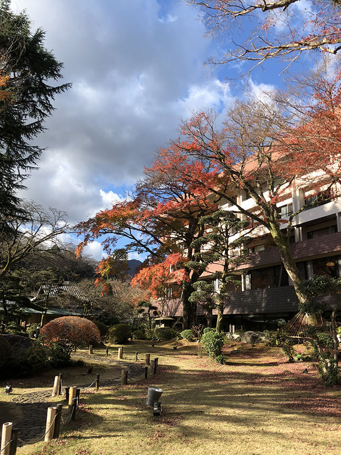 箱根 溫泉 日本旅遊 日本好好玩 日本景點推薦 日本點心日本甜點