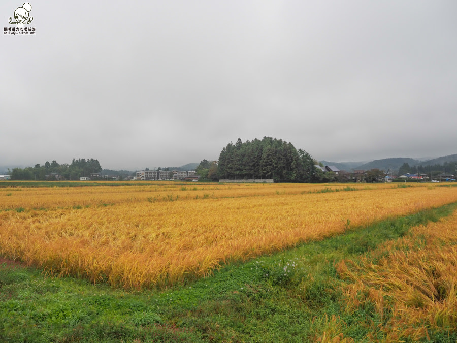 2018仙台山形 仙台 仙台旅遊 仙台住宿