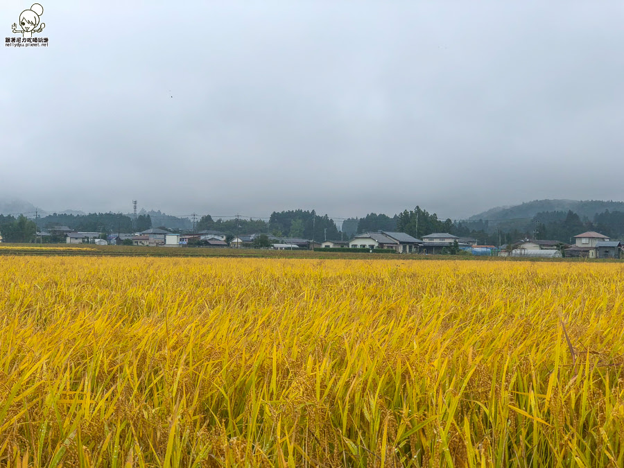 2018仙台山形 仙台 仙台旅遊 仙台住宿
