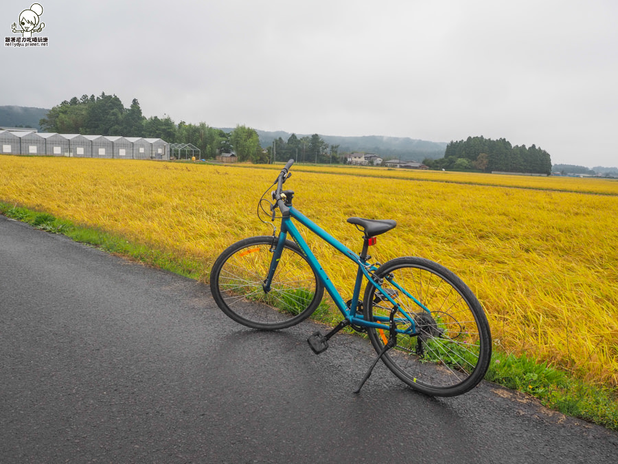 2018仙台山形 仙台 仙台旅遊 仙台住宿