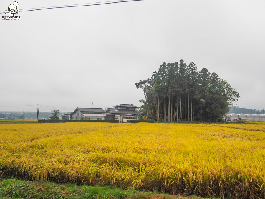2018仙台山形 仙台 仙台旅遊 仙台住宿