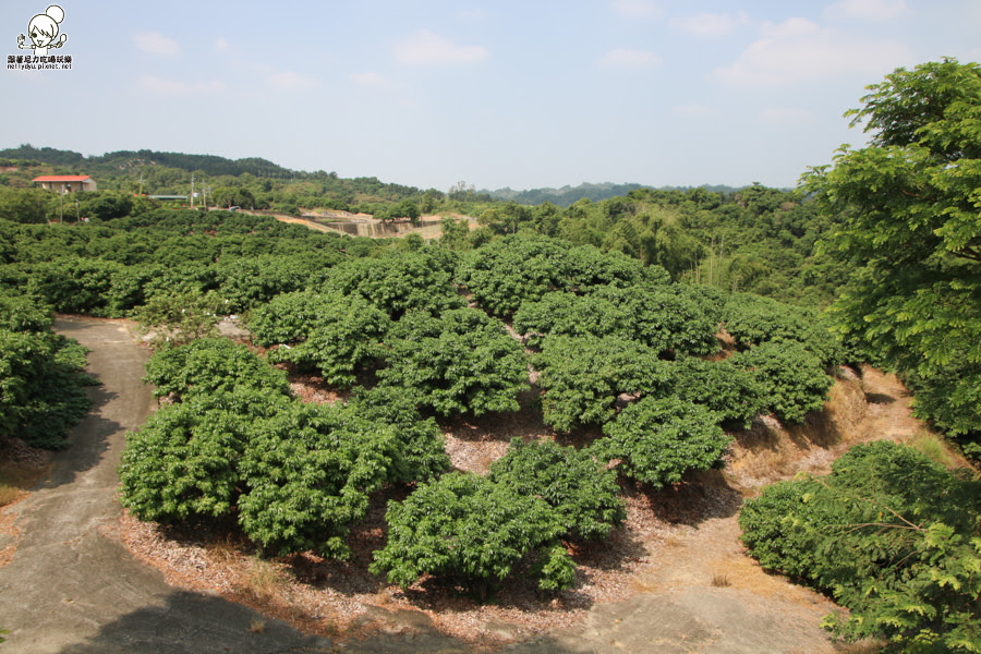 小希臘莊園 大樹景點 高雄旅遊 地中海 歐式 高雄必玩