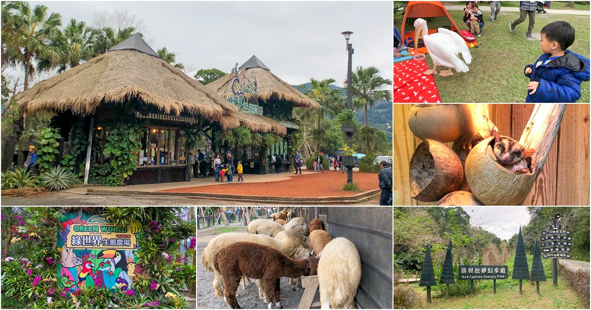 新竹旅遊 景點 多肉植物 植物園 好玩 免費入場 免費參觀 仙人掌