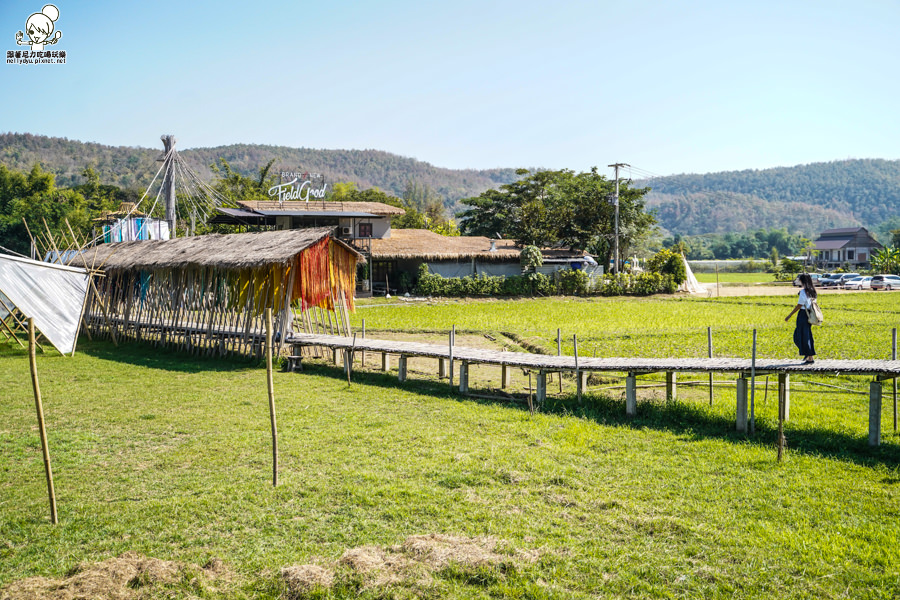 高雄直飛清邁 泰國清邁 泰國微笑航空 泰國航空 泰國旅遊 泰國觀光局 
