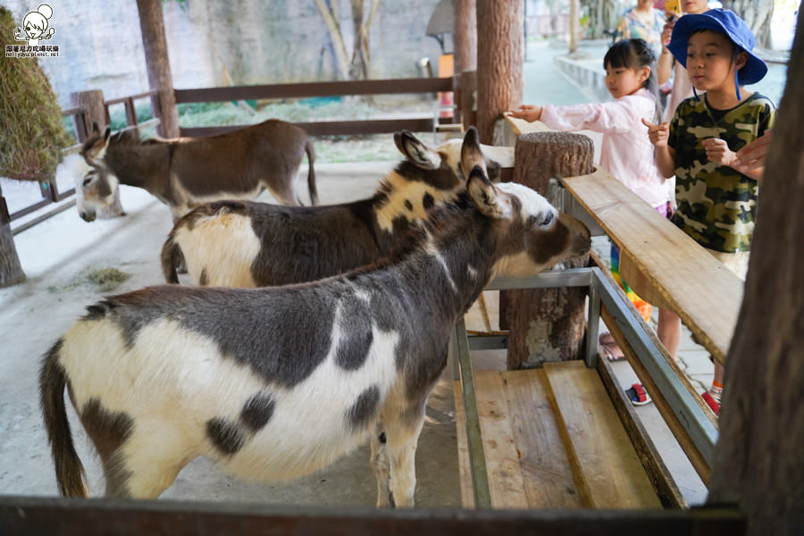 高雄直飛清邁 泰國清邁 泰國微笑航空 泰國航空 泰國旅遊 泰國觀光局 
