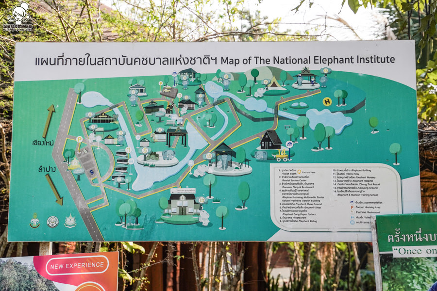 高雄直飛清邁 泰國清邁 泰國微笑航空 泰國航空 泰國旅遊 泰國觀光局 