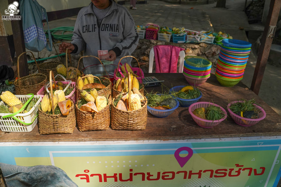 高雄直飛清邁 泰國清邁 泰國微笑航空 泰國航空 泰國旅遊 泰國觀光局 
