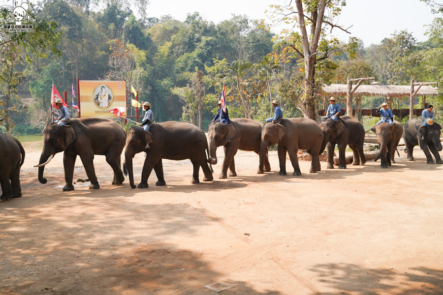 高雄直飛清邁 泰國清邁 泰國微笑航空 泰國航空 泰國旅遊 泰國觀光局 