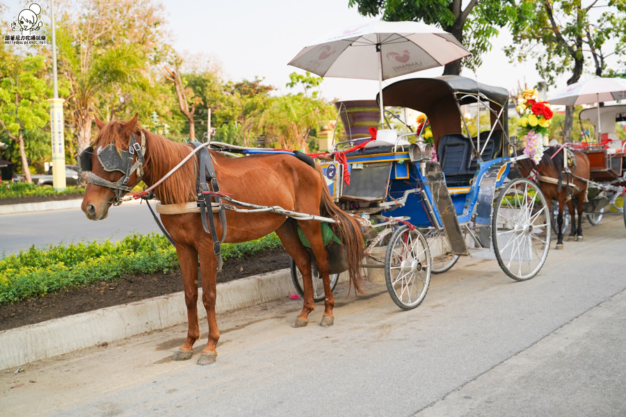 高雄直飛清邁 泰國清邁 泰國微笑航空 泰國航空 泰國旅遊 泰國觀光局 