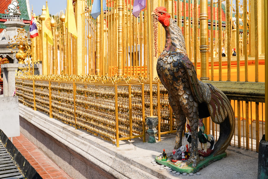 高雄直飛清邁 泰國清邁 泰國微笑航空 泰國航空 泰國旅遊 泰國觀光局 