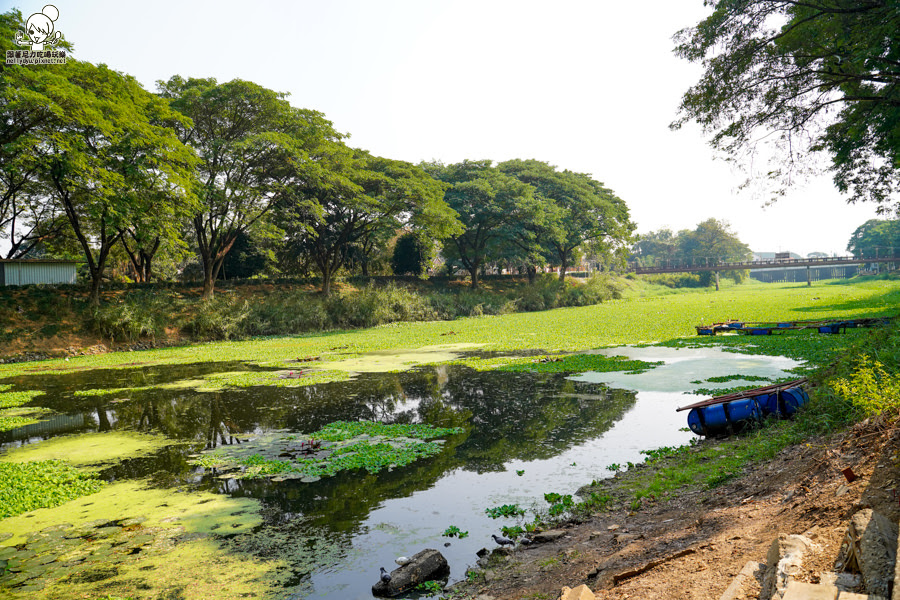 高雄直飛清邁 泰國清邁 泰國微笑航空 泰國航空 泰國旅遊 泰國觀光局 