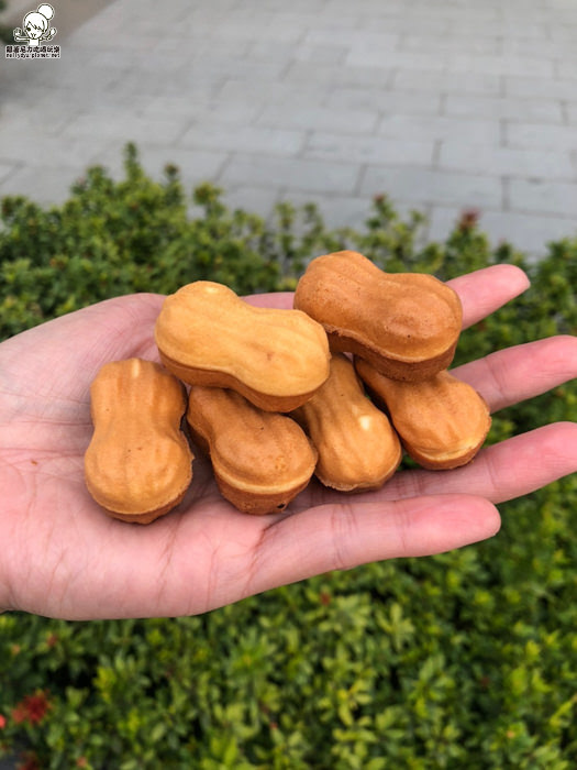 花生燒 雞蛋糕 核桃燒 韓國 高雄美食 甜點 下午茶