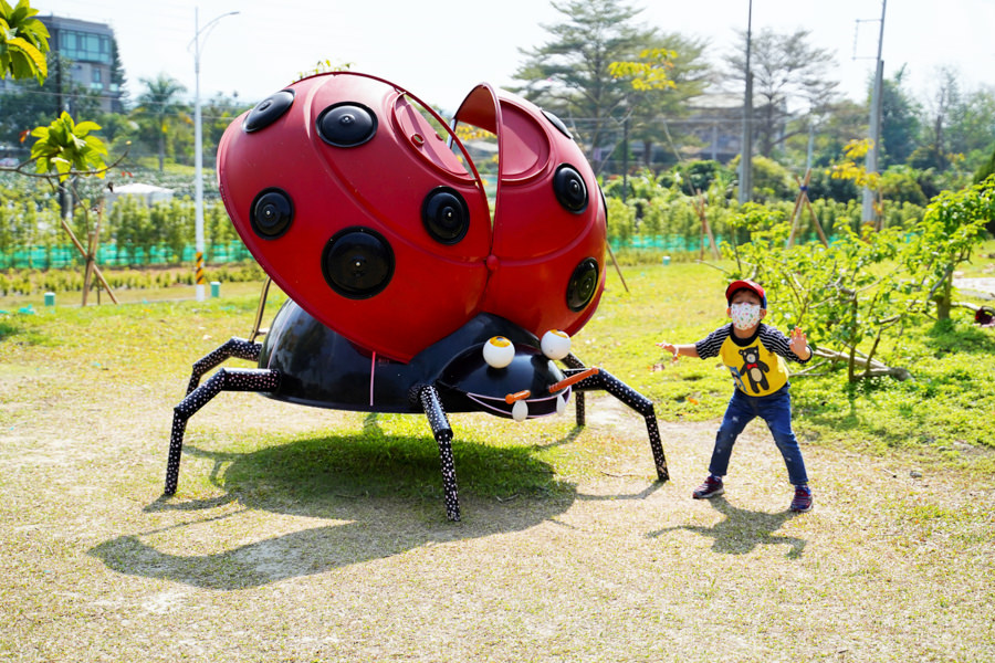 嘉義旅遊 親子旅遊 昆蟲 新嘉大昆蟲館 網美溫室