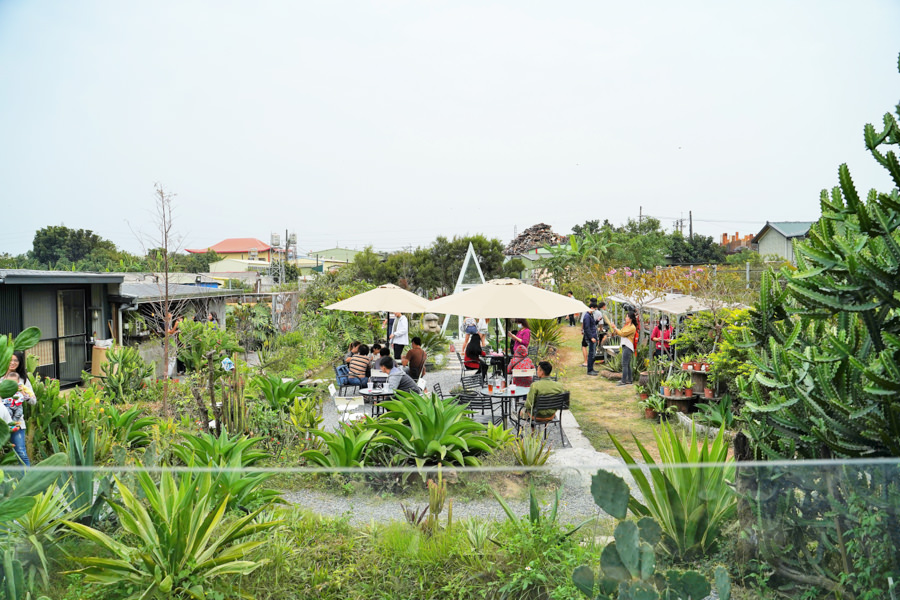 多肉植物 戶外 景觀咖啡 高雄景點 高雄旅遊 親子 戶外 休閒 摩艾