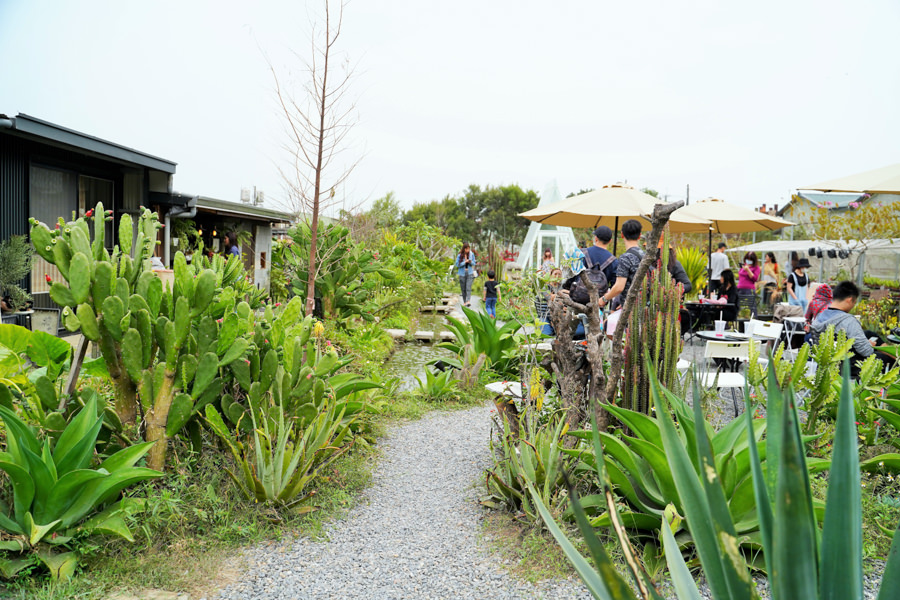 多肉植物 戶外 景觀咖啡 高雄景點 高雄旅遊 親子 戶外 休閒 摩艾