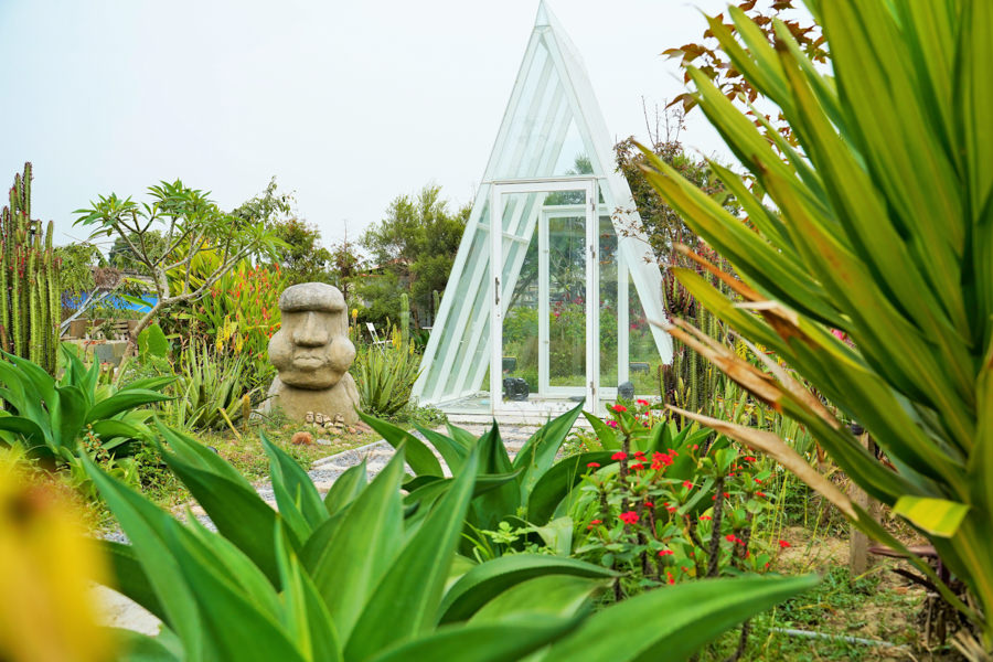 多肉植物 戶外 景觀咖啡 高雄景點 高雄旅遊 親子 戶外 休閒 摩艾