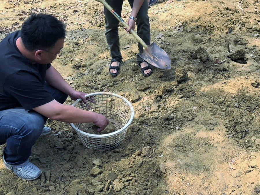 控土窯、焢土窯、烤肉、橋頭糖廠、台糖