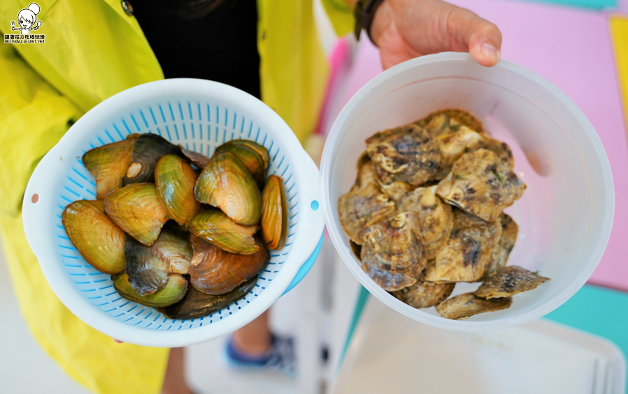 墾丁 景點 恆春 親子 互動 體驗 挖珍珠 親子館 禮物 珍珠 好玩 