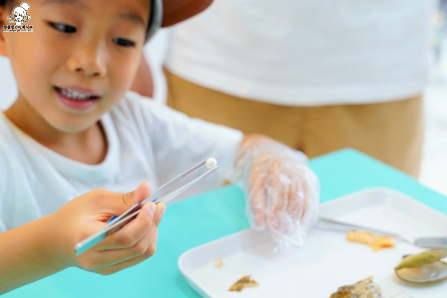 墾丁 景點 恆春 親子 互動 體驗 挖珍珠 親子館 禮物 珍珠 好玩 