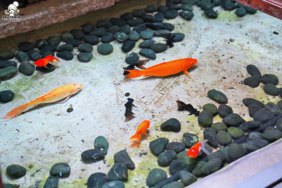 鳳山美食 聚餐 懷舊 復古 文青 舒適 巷弄 懷舊餐廳