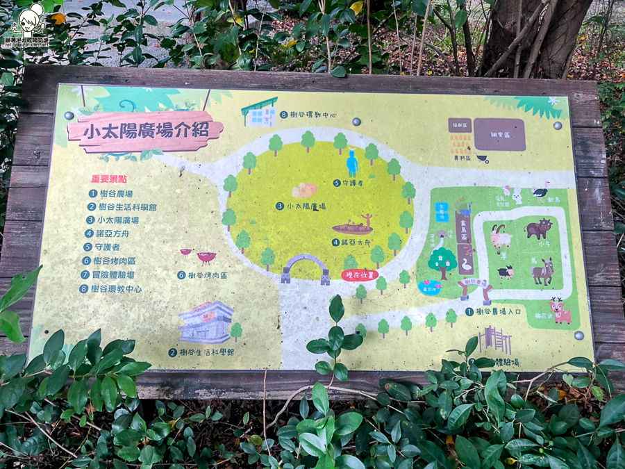 農場 樹谷 好玩 親子 互動 台南景點 台南旅遊 親子旅遊 