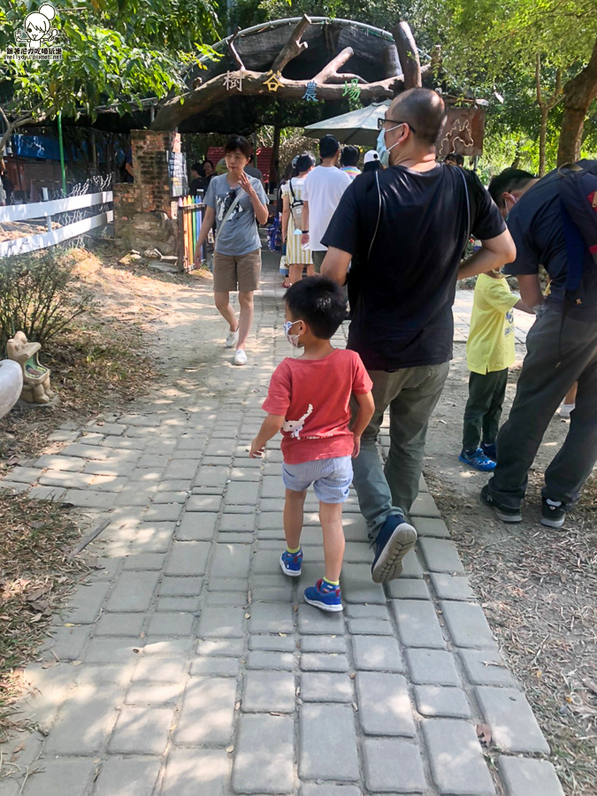 農場 樹谷 好玩 親子 互動 台南景點 台南旅遊 親子旅遊 