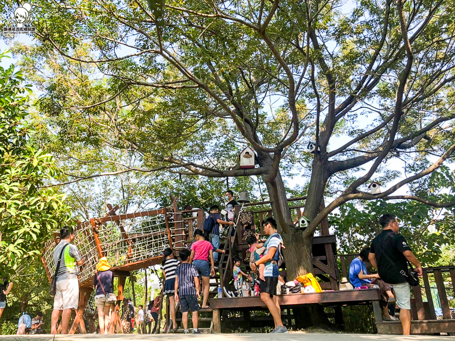 農場 樹谷 好玩 親子 互動 台南景點 台南旅遊 親子旅遊 