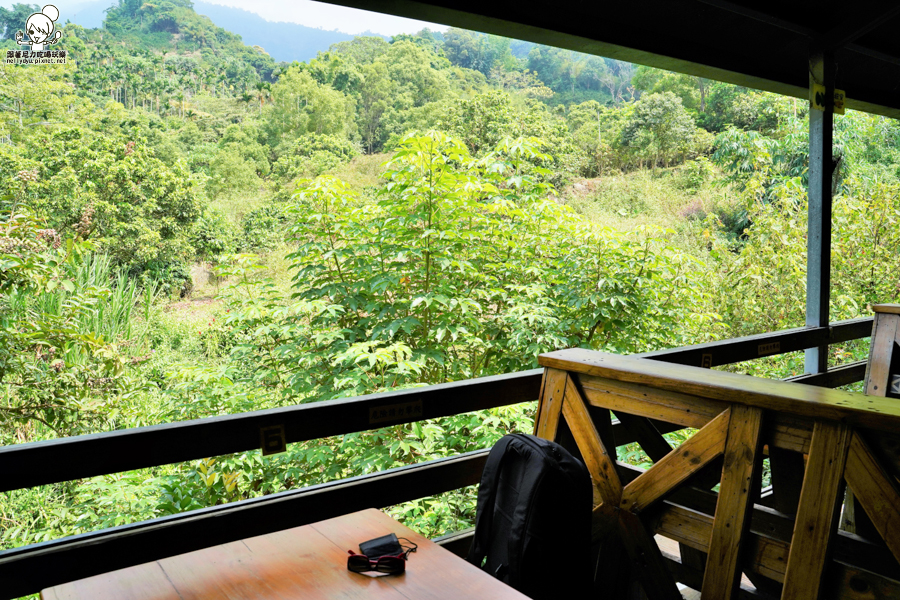 田媽媽 村長咖啡 田園料理 台南東山 咖啡優質 旅遊 美食