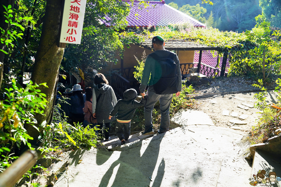 新竹景點 免費 晒柿子 柿餅 必遊 免費 好吃好玩 好拍