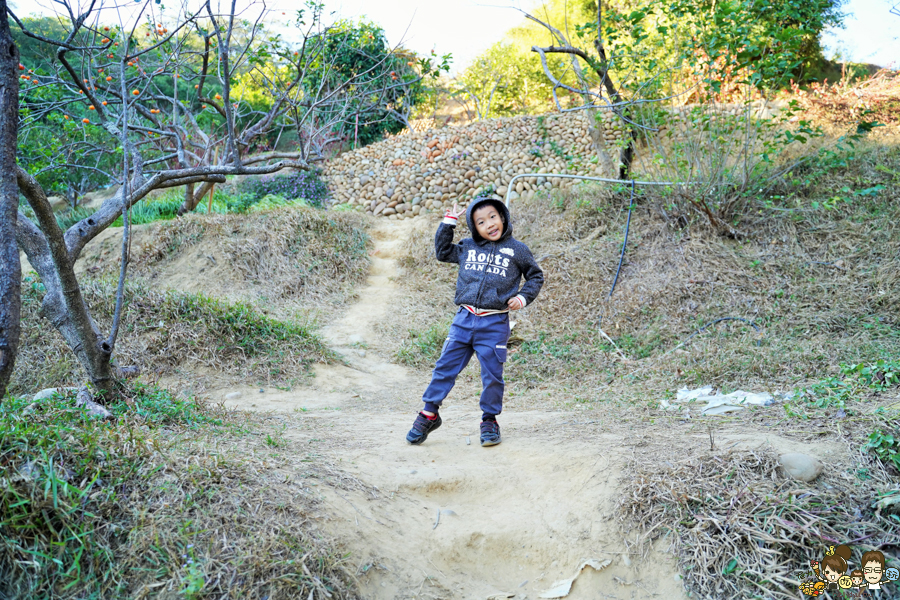 新竹景點 免費 晒柿子 柿餅 必遊 免費 好吃好玩 好拍