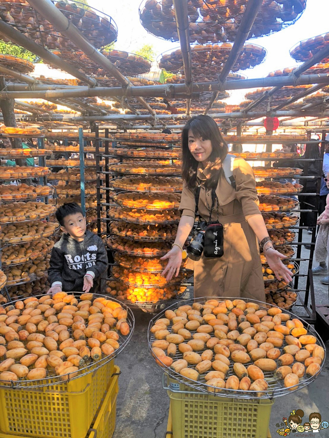 新竹景點 免費 晒柿子 柿餅 必遊 免費 好吃好玩 好拍