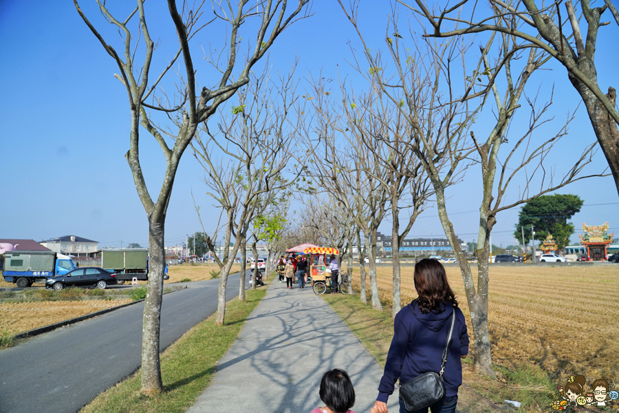 嘉義旅遊 民雄玩樂 三隻小豬 門票 收費 親子 玩樂 台灣親子 旅遊