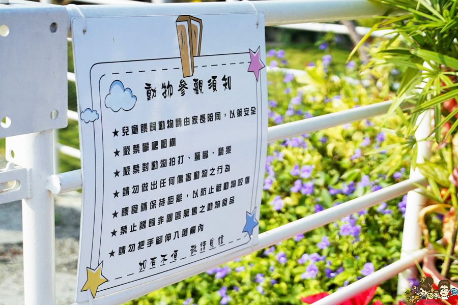 嘉義旅遊 民雄玩樂 三隻小豬 門票 收費 親子 玩樂 台灣親子 旅遊