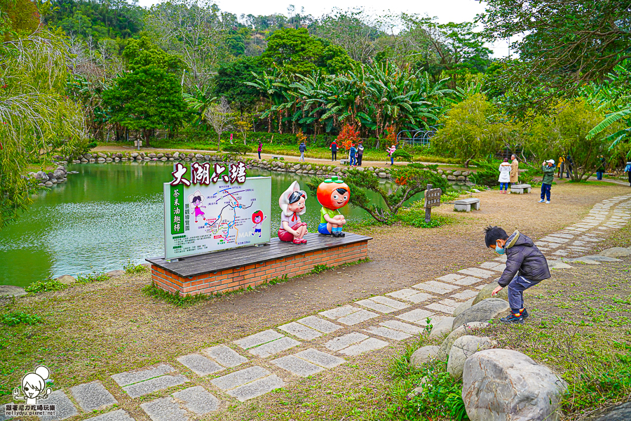 新竹景點 落羽松 新竹旅遊 景點 夯點 六塘