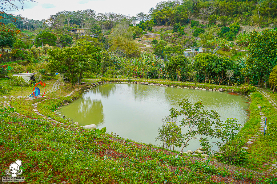 新竹景點 落羽松 新竹旅遊 景點 夯點 六塘