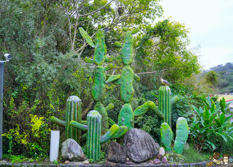 新竹旅遊 景點 多肉植物 植物園 好玩 免費入場 免費參觀 仙人掌