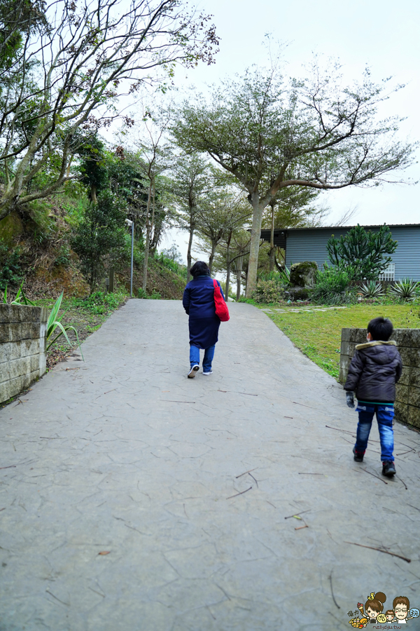 新竹旅遊 景點 多肉植物 植物園 好玩 免費入場 免費參觀 仙人掌