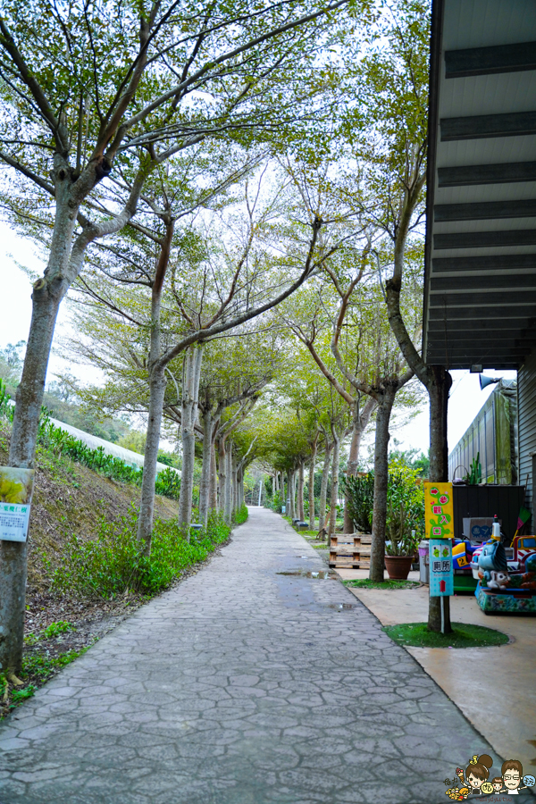 新竹旅遊 景點 多肉植物 植物園 好玩 免費入場 免費參觀 仙人掌