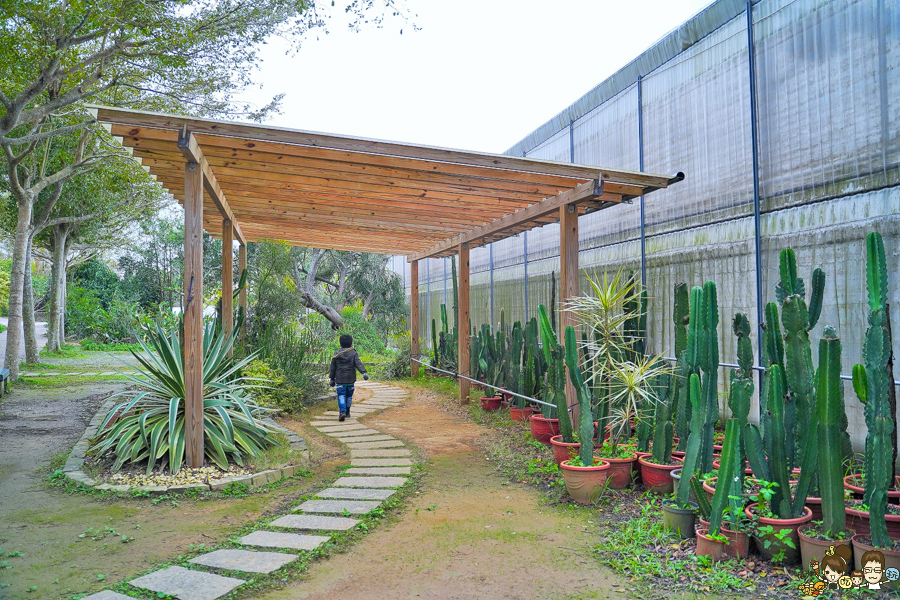 新竹旅遊 景點 多肉植物 植物園 好玩 免費入場 免費參觀 仙人掌